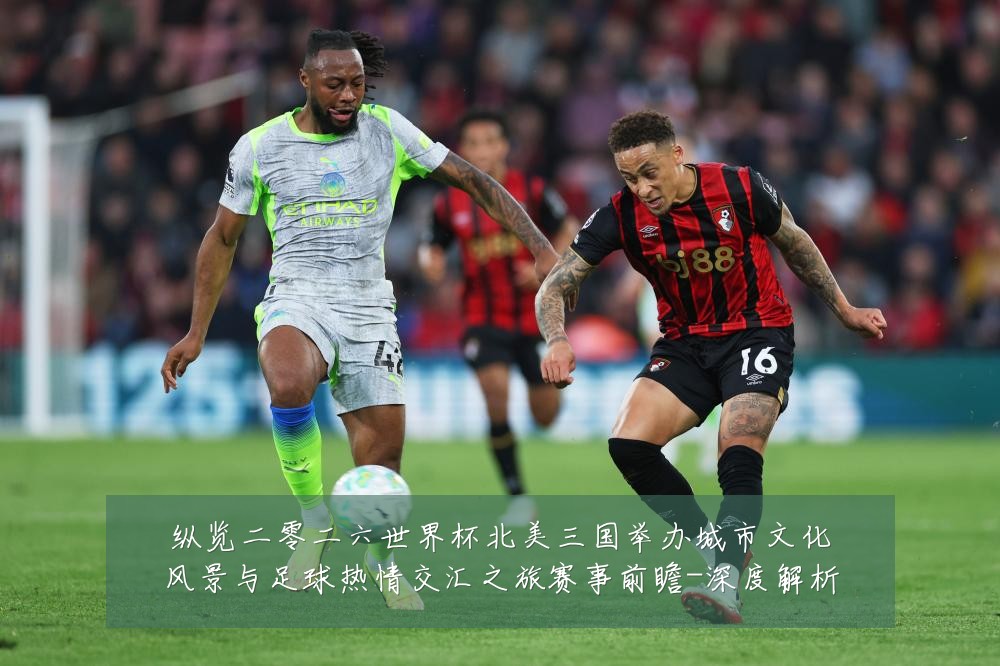 纵览二零二六世界杯北美三国举办城市文化风景与足球热情交汇之旅赛事前瞻-深度解析